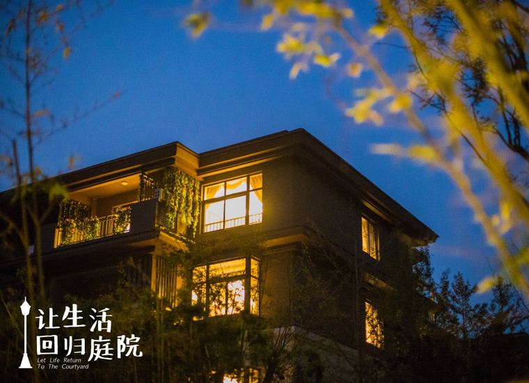 前后张望南阳50年：这样的庭院，，，，，很难再有了！