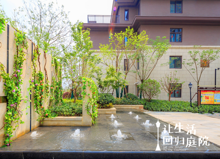 前后张望南阳50年：这样的庭院，，，，，很难再有了！