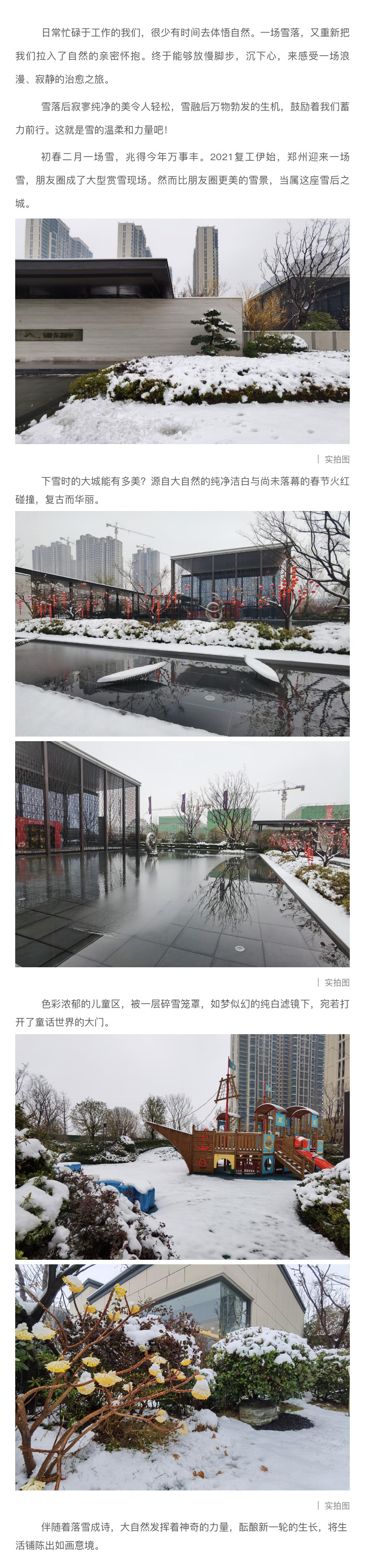 2021浪漫开年，，共赏一场鹅毛大雪！