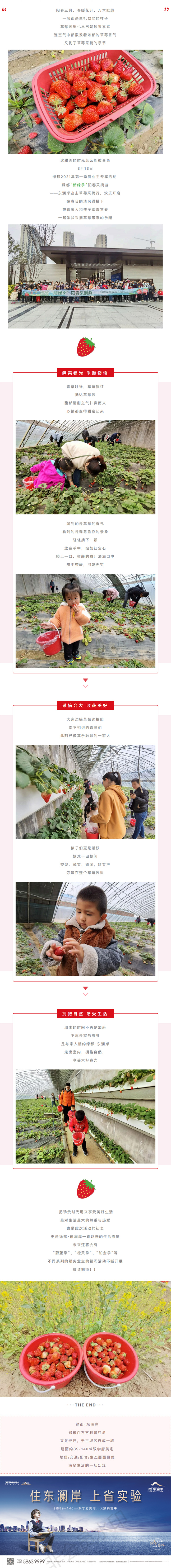 草莓采摘行|“莓”好偕行，，，，不负春日好时光